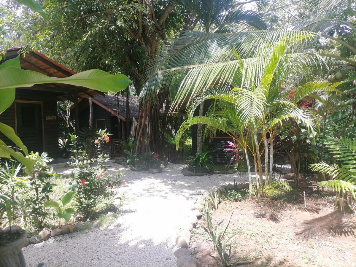 Casa El Colibri Bed & Breakfast Parrita Luaran gambar