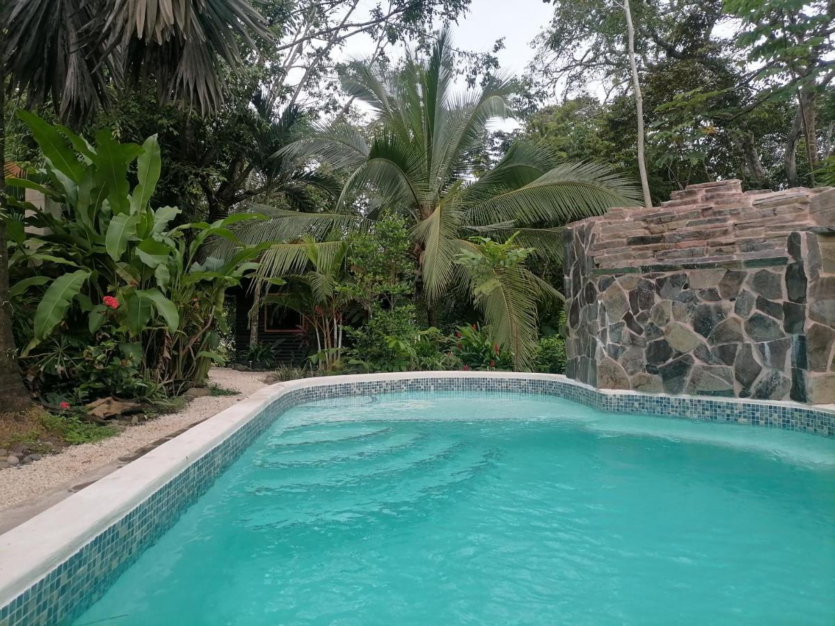 Casa El Colibri Bed & Breakfast Parrita Luaran gambar