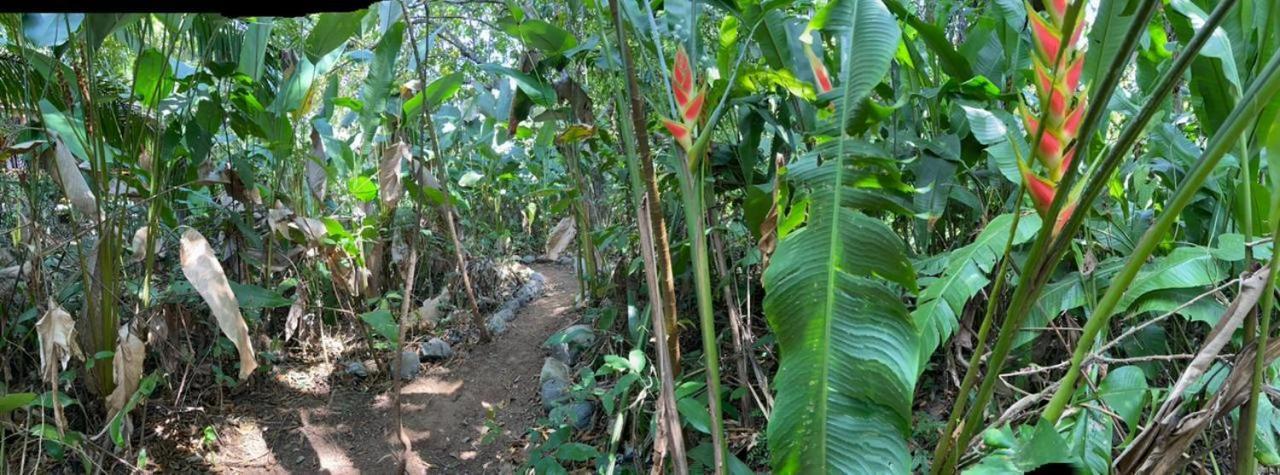 Casa El Colibri Bed & Breakfast Parrita Luaran gambar